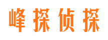 龙岩外遇调查取证